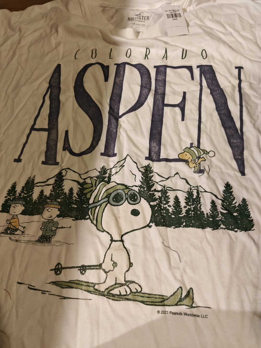 Hollister White Aspen Peanuts Ski Graphic Tee — Navy & Green